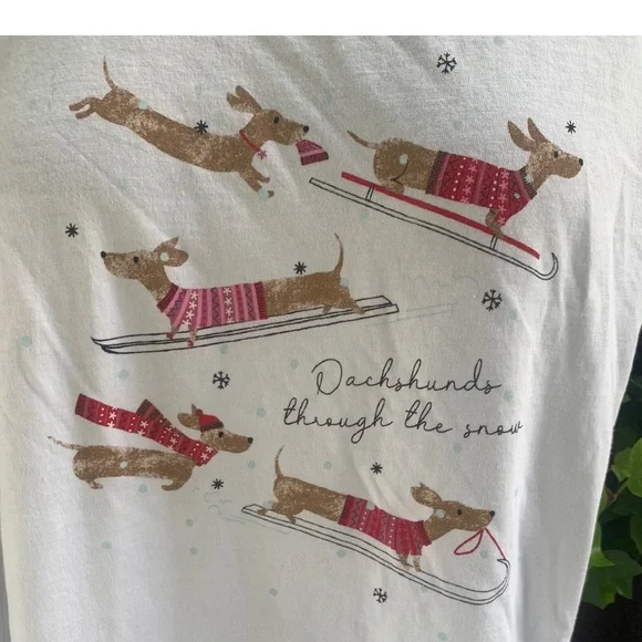 🎄 🐶 NWT JCREW Dachshund Graphic Tee - Picture 6 of 13